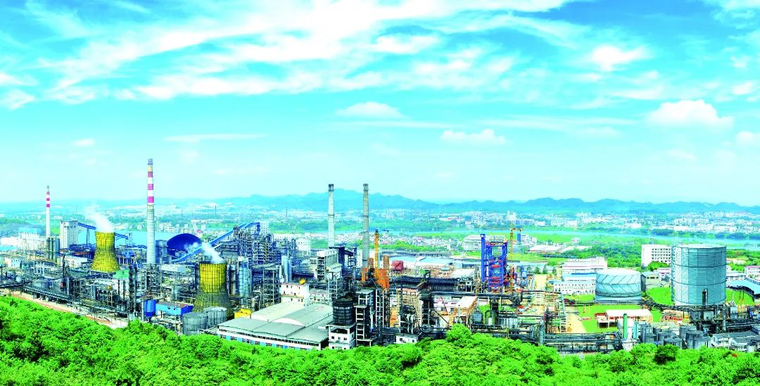 黑猫股份全景.jpg
